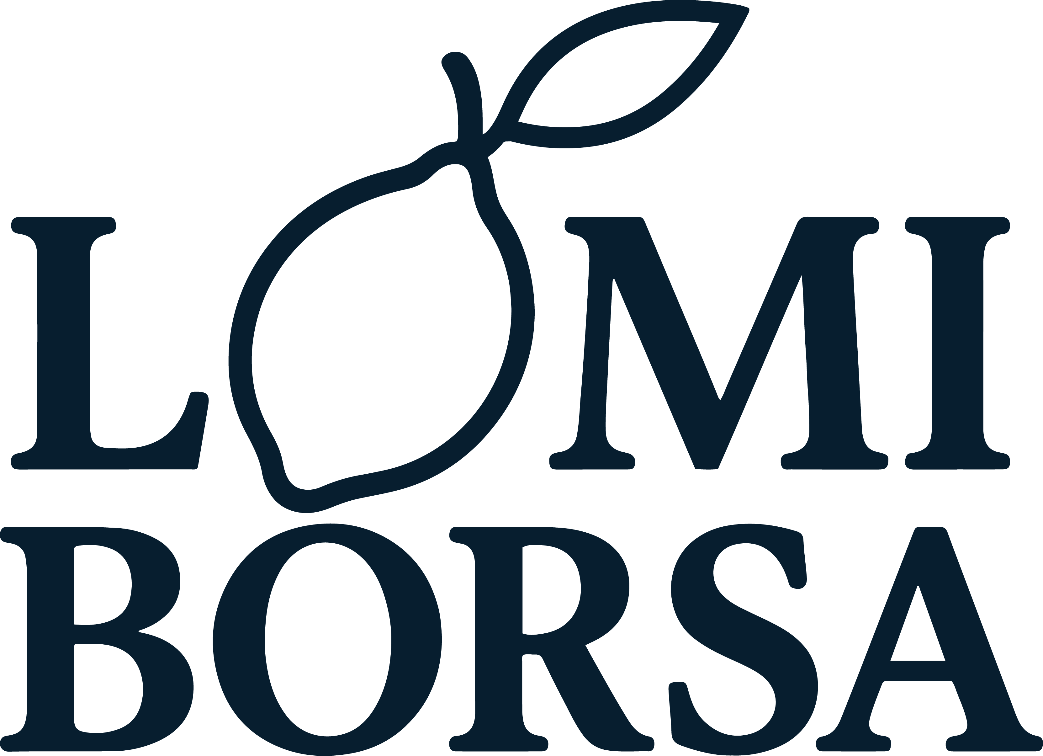 Lomi Borsa